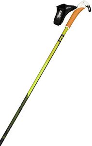Swix Dynamic D3 Vasa