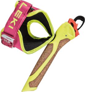 Leki Korkhandtag Nordic FRT Fix Pink