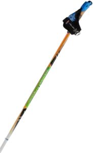 Skigo Rullskidstav Roller 100
