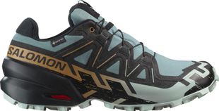 Salomon Speedcross 6 GTX M
