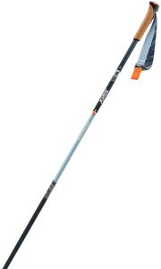 Swix Blizzard Mountain Tourer